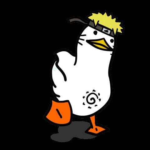 Ninja duck